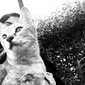 User picture for sultana shtayan