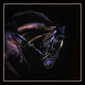 User picture for Jim McConnell