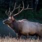 User picture for Donald Brown