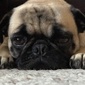 User picture for Stacy Winburn