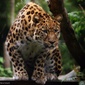 User picture for Bernd Stoeckl