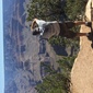 User picture for Gregg Ruppel