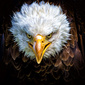 User picture for Stefano Venturi