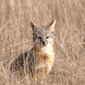 User picture for Gary T