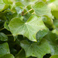User picture for Yimin Lu