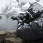 User picture for Marsel van Oosten