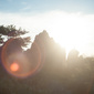User picture for Marius Holler