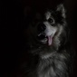 User picture for Ed Vaden