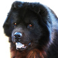 User picture for John Wolf