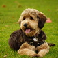 User picture for Chris Pohlmann