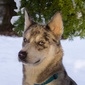 User picture for Martin Carrera