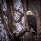 User picture for Ric Westman