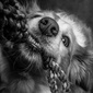User picture for Ben Kingaby