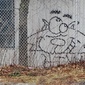 User picture for Franklin White