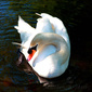 User picture for Matthew B. Marks
