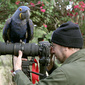 User picture for bolivar porto
