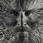 User picture for ugnius brazdziunas