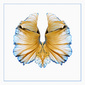 User picture for Brigido Garcia A