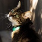 User picture for Joyce Ertner