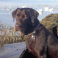 User picture for Robert W. Smith