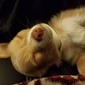 User picture for Kristen Mozaffari
