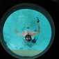 User picture for Andrew Mulloy
