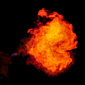 User picture for Tristen Woodward