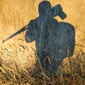 User picture for Wesley Perrault