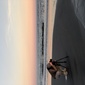User picture for Logan Williams