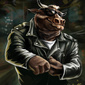 User picture for Marko Bik