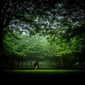 User picture for Rui Soares