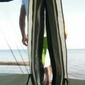 User picture for Gustave Kurz