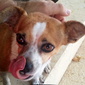 User picture for Boaz Yoffe