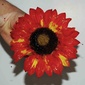 User picture for Jasmin Rose