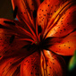 User picture for Greg Huebner