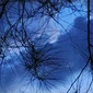 User picture for DAVID VITANOVITZ