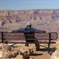 User picture for Mateo Soeffner