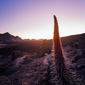 User picture for Rafael Martin