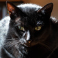 User picture for Sietske Barnes