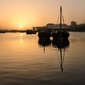 User picture for Felix Flores