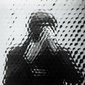 User picture for Steven Rice