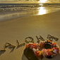 User picture for ja images