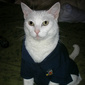 User picture for Joseph Polito