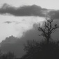 User picture for Jules H