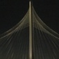 User picture for T Angeles