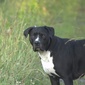 User picture for Bobbi Stover