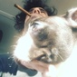User picture for Nikiphoros Kouris