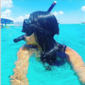 User picture for Kiara Olivares