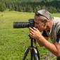 User picture for Levy Davish
