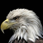 User picture for William Donnelly